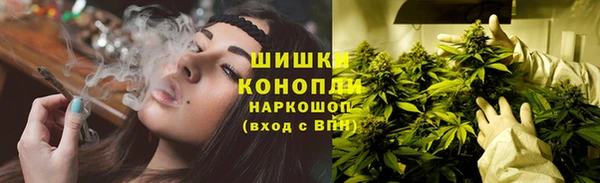 mdpv Снежинск