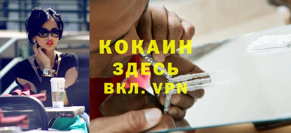 индика Семилуки