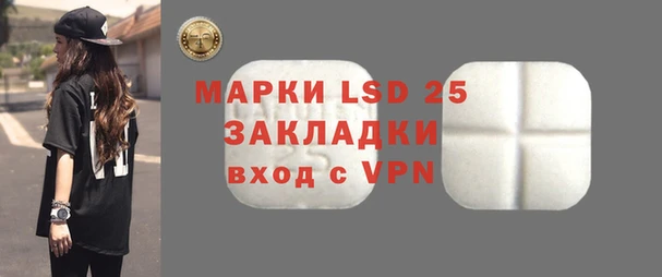 индика Семилуки