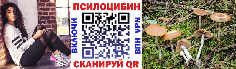 Псилоцибиновые грибы мухоморы Троицк
